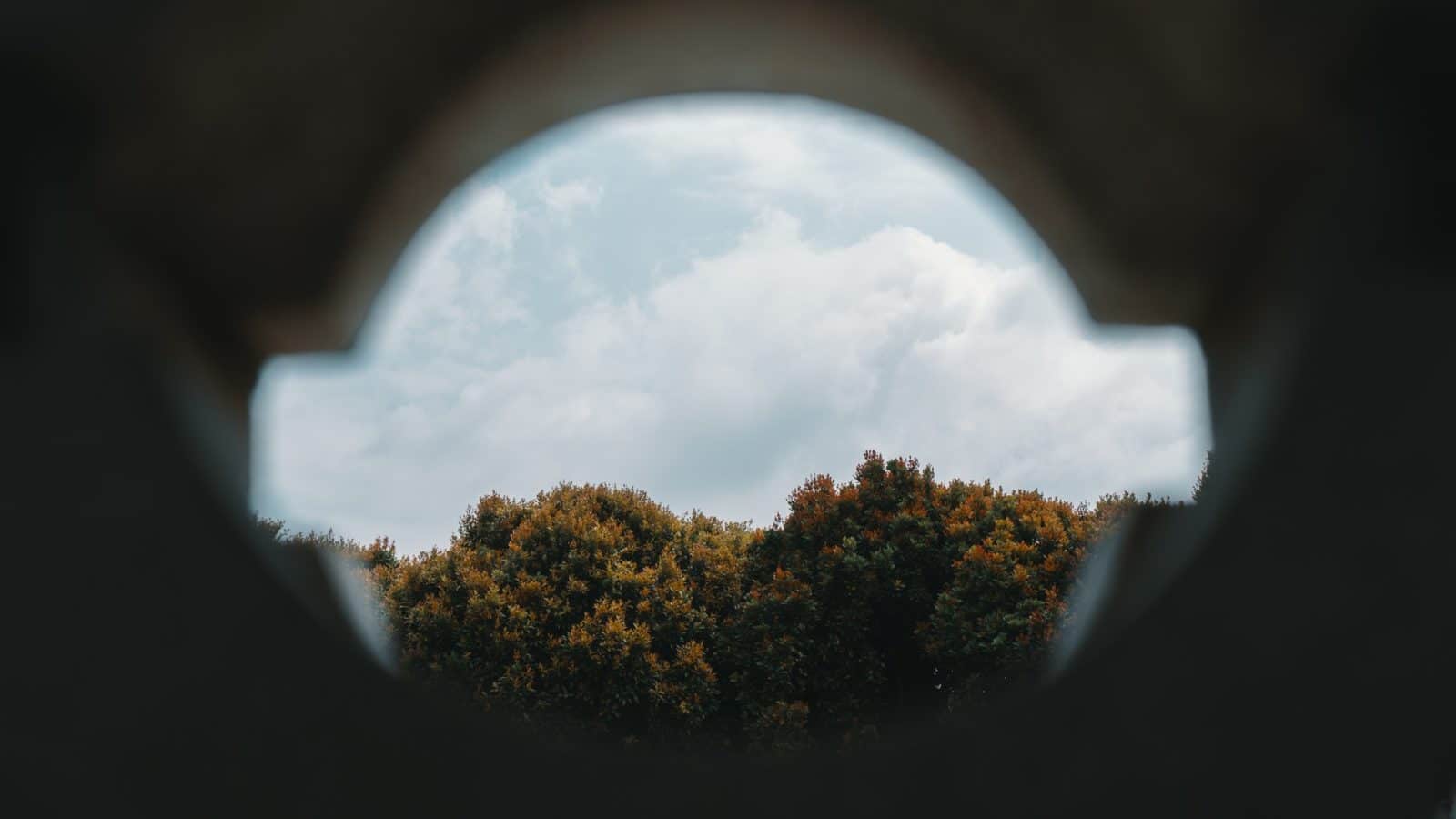 fish eye photography of trees under white clouds 1654337