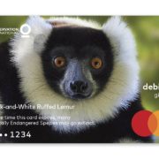 mastercard wildlife impact debit gift card lemur 1280x720 1
