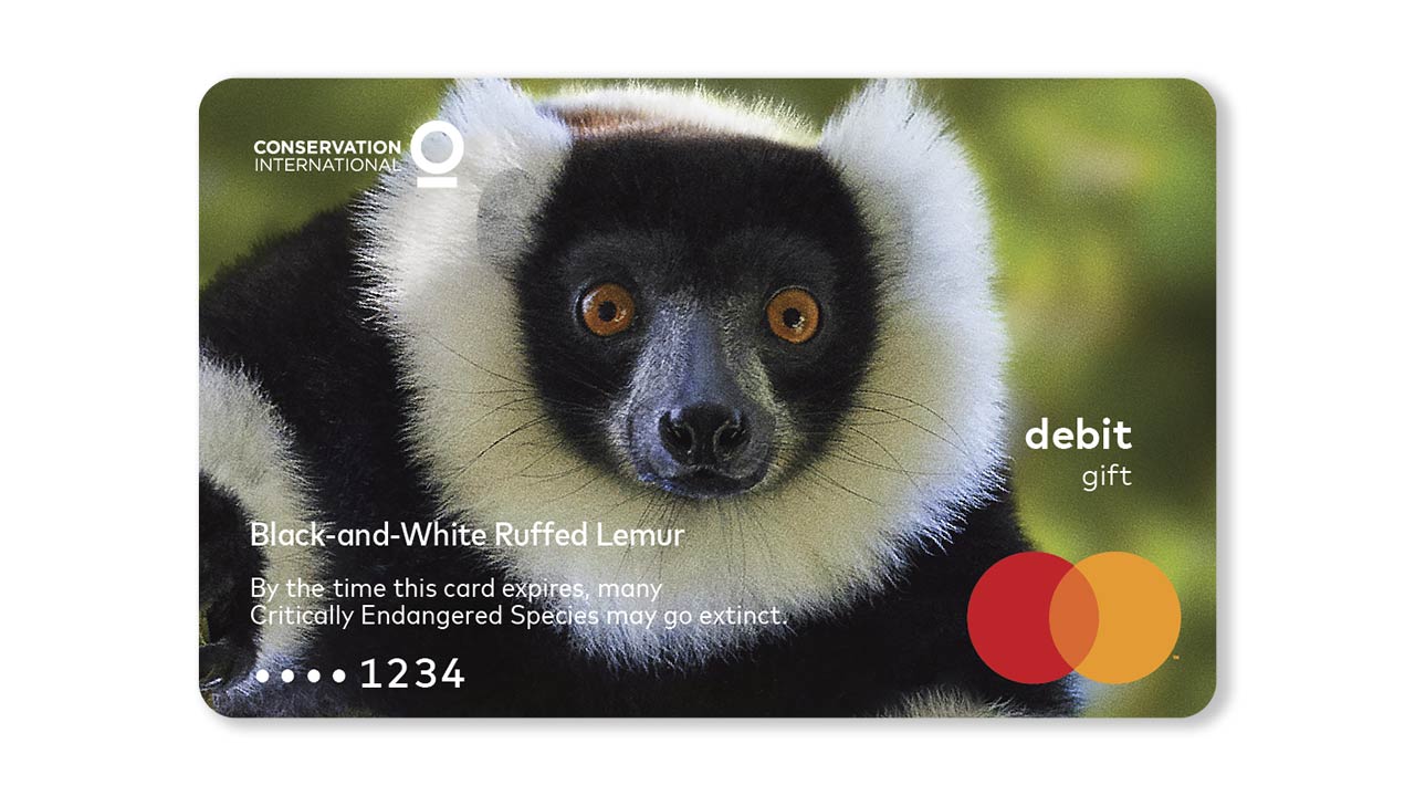 mastercard wildlife impact debit gift card lemur 1280x720 1