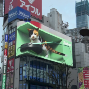 tokyos giant 3d calico cat now has a roomba as a friend