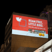 roam free little bird