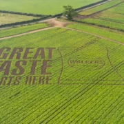walkers creates worlds biggest ever ‘cropvert in british potato field
