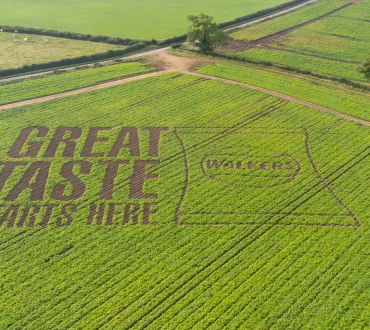 walkers creates worlds biggest ever ‘cropvert in british potato field