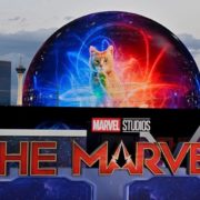 the marvels the sphere goose