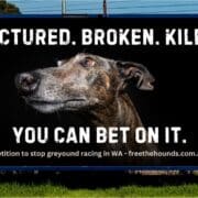 freethehounds billboard