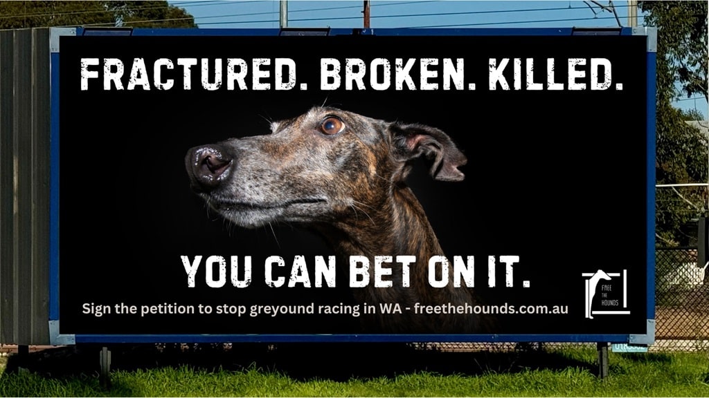 freethehounds billboard