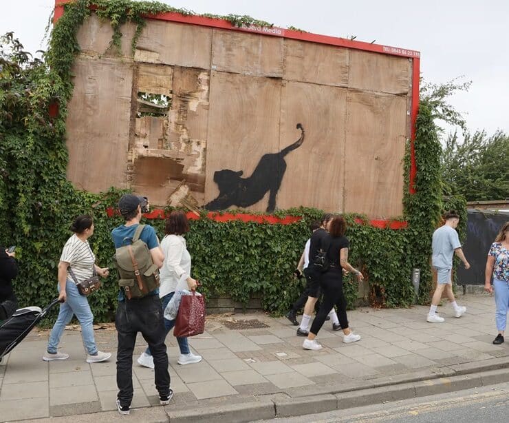 banksys billboard cat removed as meaning of his london animals revealed