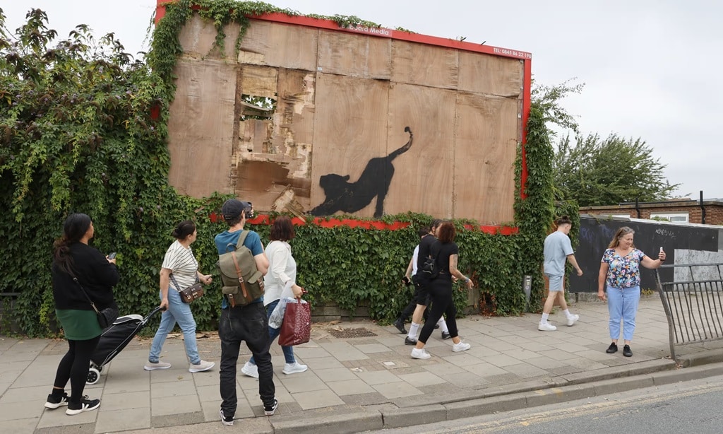 banksys billboard cat removed as meaning of his london animals revealed