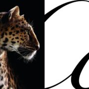 cartier leopard ctsy