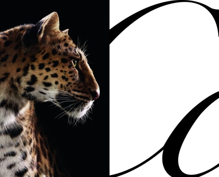 cartier leopard ctsy