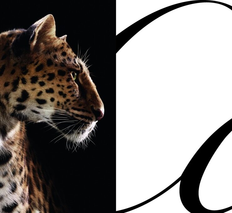 cartier leopard ctsy