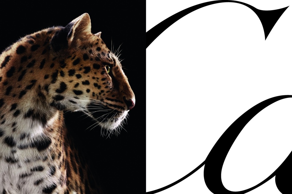 Cartier показал рекламную кампанию с пантерой 1 cartier leopard ctsy