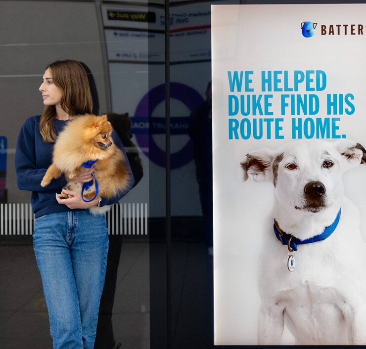 the heartwarming journeys home of rescue animals1