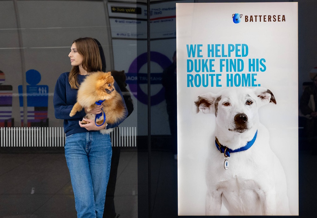 the heartwarming journeys home of rescue animals1