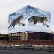 snezhnyj bars moskva velozavodskaya 13 k.2 dekabr 2025 1