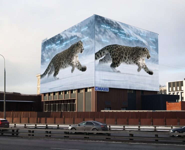 snezhnyj bars moskva velozavodskaya 13 k.2 dekabr 2025 1