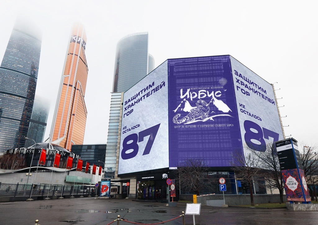 «Ирбис» и МАЕР запустили кампанию «Защитим хранителей гор» 3 snezhnyj bars moskva krasnopresnenskaya naberezhnaya 14 str. 18 dekabr 2025 1