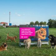 the poster that helps find lost dogs