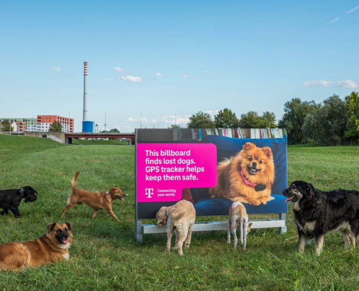 the poster that helps find lost dogs