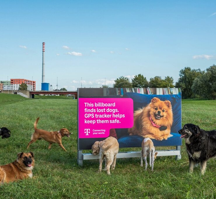 the poster that helps find lost dogs