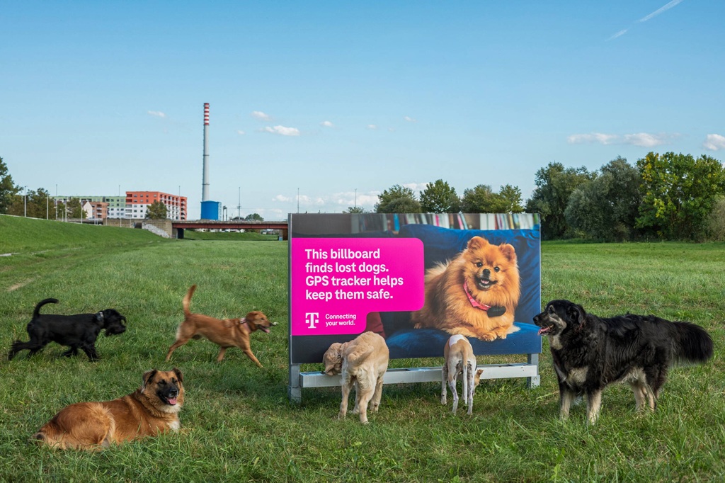 the poster that helps find lost dogs