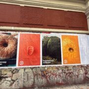 colonoscopy reminder