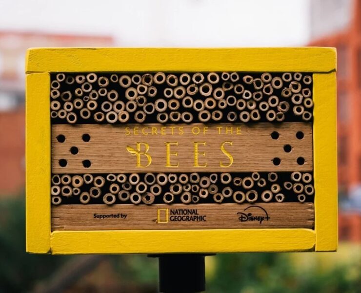 disney national geographic assemble billboards for the bees—housing them too1