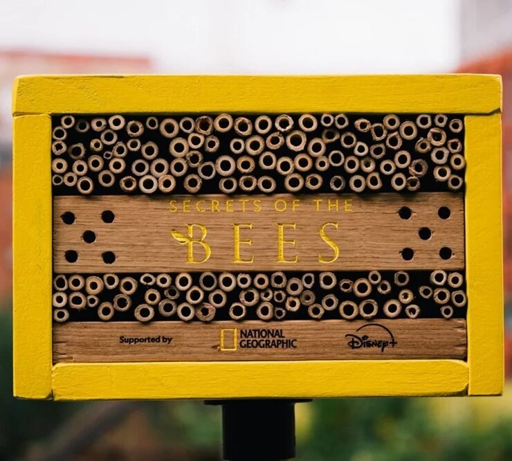 disney national geographic assemble billboards for the bees—housing them too1