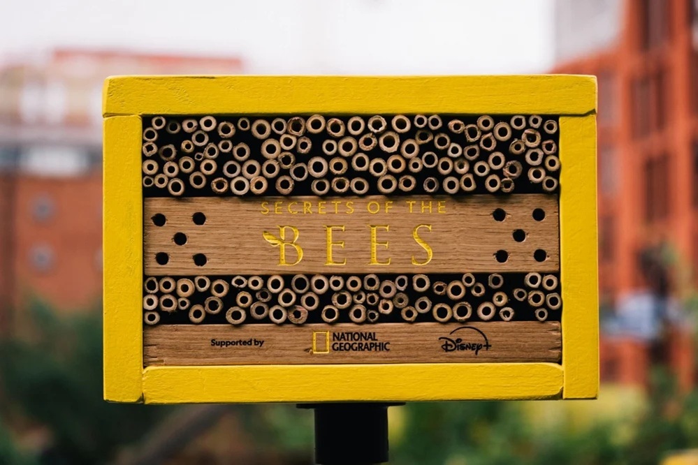 disney national geographic assemble billboards for the bees—housing them too1