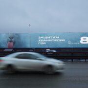 snezhnyj bars sankt peterburg kad 23 km dekabr 2025 1