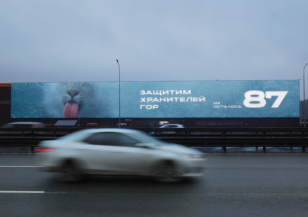 snezhnyj bars sankt peterburg kad 23 km dekabr 2025 1