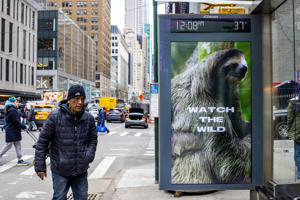 wild animals take over new york for wildlife conservation societys earth month initiative