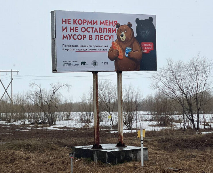 medvedi smotrjat na zhitelei kamchatki s bannerov chtoby stalo menshe konfliktov photo big