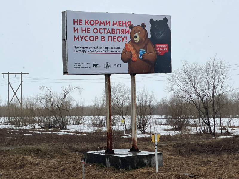 medvedi smotrjat na zhitelei kamchatki s bannerov chtoby stalo menshe konfliktov photo big