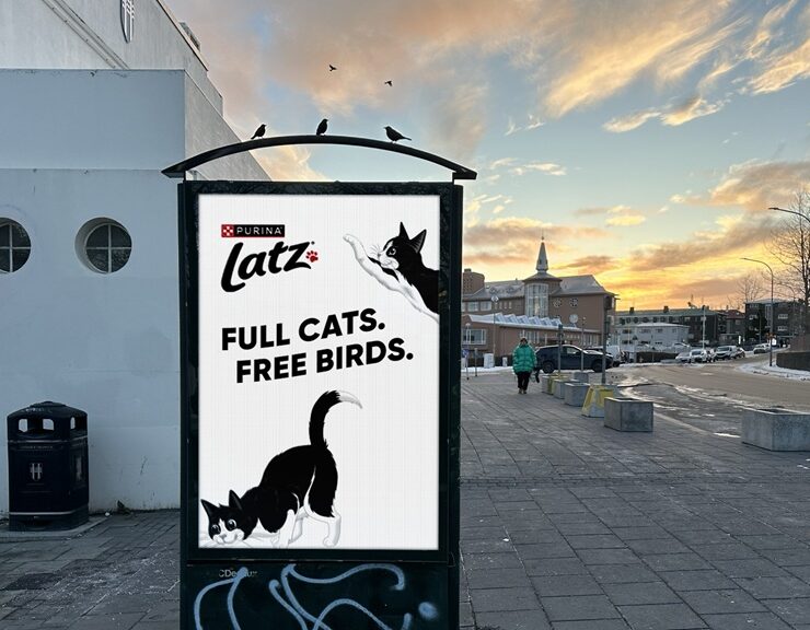 full cats. free birds