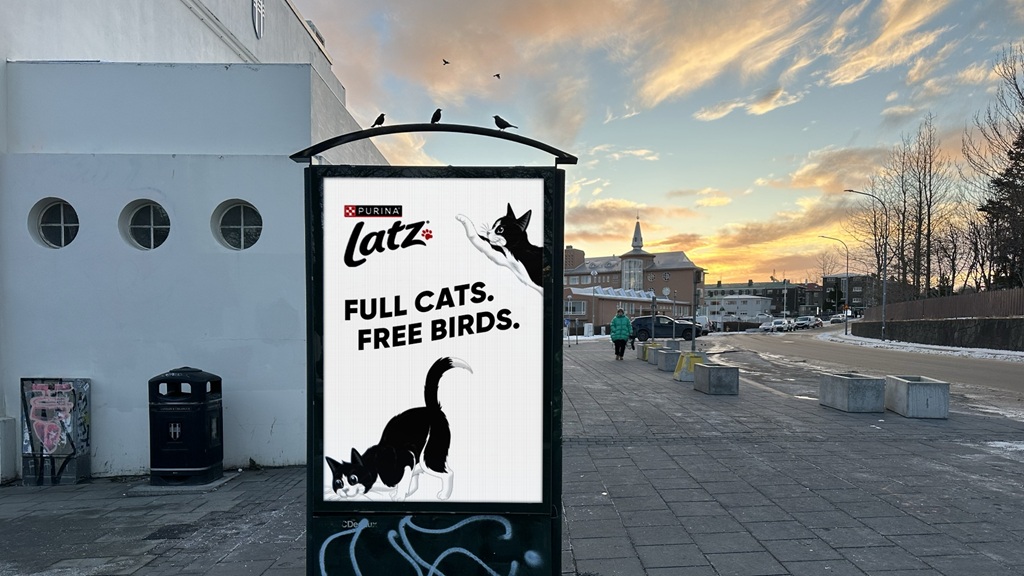full cats. free birds