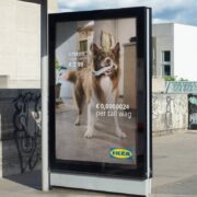 emotional pricing dog